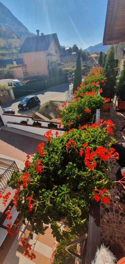 Casa Mimi Apartamento Băile Herculane Exterior foto