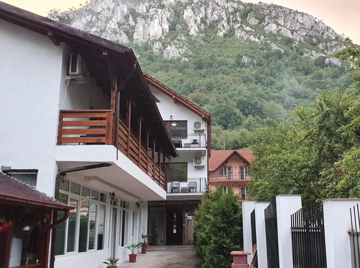 Casa Mimi Apartamento Băile Herculane Exterior foto